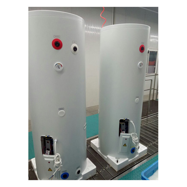 Momentinis dujinis vandens šildytuvas (JX-X24) 